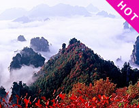 �����������żҽ硢���˫��5����